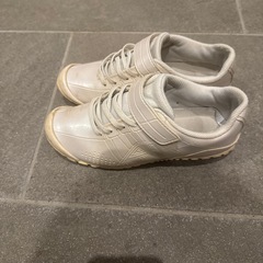 梅雨入り！雨の日にガチ強　22cmの画像