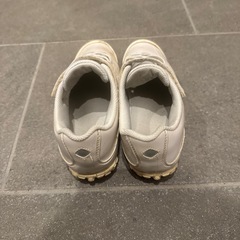 梅雨入り！雨の日にガチ強　22cmの画像