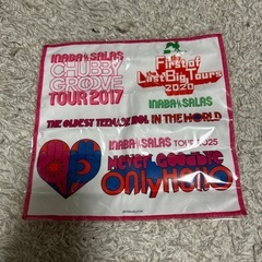 イナバサラスファイバータオル