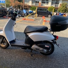 Today❗️公道走行動画アリ❗️他在庫多数見学歓迎の画像