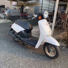 Today❗️公道走行動画アリ❗️他在庫多数見学歓迎の画像