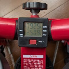 【ダイエットや運動に】ナイスデイ健康ステッパー プレミアム版 カウンター機能付き【美品】の画像