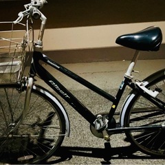 ブリヂストン　アルベルト　自転車