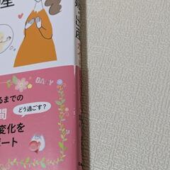 はじめてママ＆パパの妊娠・出産ガイドBOOKの画像