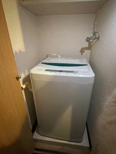 早めに引き取ってくれる方大募集してます！！