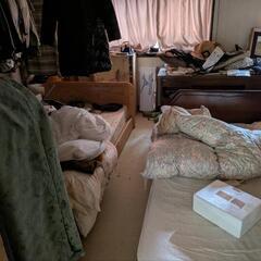 3月23日！なんでも持っていってくださいの画像