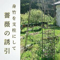 身竹　園芸支柱　竹薪の画像