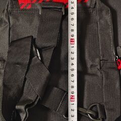 【新品】WOOLRICH ポディバッグの画像