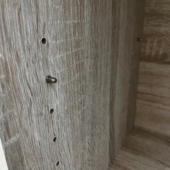 （受付終了）LOWYA 絵本棚　の画像