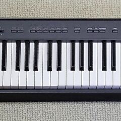 電子ピアノ　Korg SP-100　取りに来てくれる方