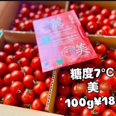 愛知県産🍅糖度8度🍅美ミニトマト入荷しました！✨