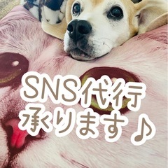 SNS代行を利用してみませんか？