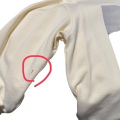 ❤️限定品❤️広瀬すず10周年記念写真集 レジャートレジャー  トレーナーの画像