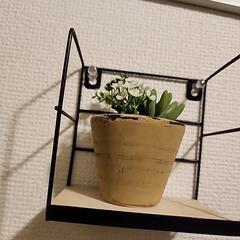 3つラックセット　花瓶付きの画像