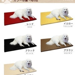 ペット体圧分散マットの画像