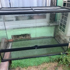 爬虫類　ケージ　ペット用品の画像