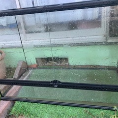 爬虫類　ケージ　ペット用品の画像