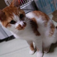 遊ぶのも人馴れもバッチリ！帰って来たモーモー9ヶ月