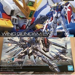 HG ライジングフリーダムガンダム　ライフリ　RG　ウィングガン...