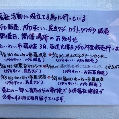 ☘️🌈アキバマルシェ✨昆虫くじ&メダカすくいイベント御礼‼️ - 地域/お祭り