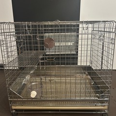 【お取引中】うさぎのしっぽ　プロケージ60シルバー