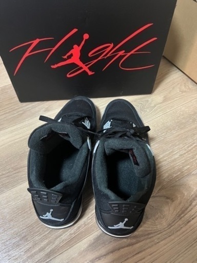 Nike Air Jordan 4 SE 