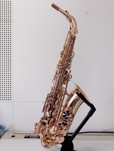 【美品】Yanagisawa ヤナギサワ　A-WO20PGP 　アルトサックス