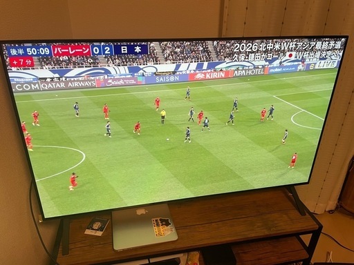 LG 有機ELテレビ 48型