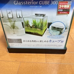 gex水槽     　グラステリア300キューブセットの画像