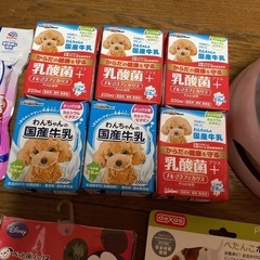 最終値下げ　
犬用品　リード他 犬飼育セット　犬ミルク　牛乳　まとめ売りの画像