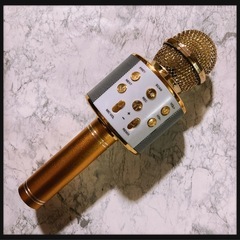 Bluetooth接続 ミュージック一体型 カラオケマイク 金色の画像
