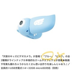 【決まりました】天使のキッズビデオカメラ