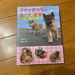 子犬のきららと捨て犬 ．
未来