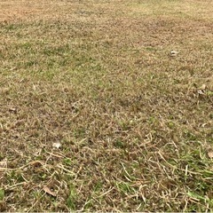 市営団地、県営団地、住宅街の草刈り請け負います。