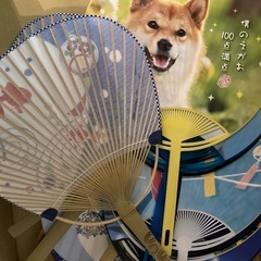 うちわ
