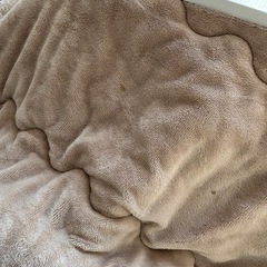 板目2way コタツの画像