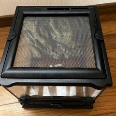 エキゾテラ グラステラリウムナノキューブ飼育ケース　爬虫類の画像