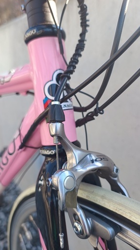 COLNAGO ARTE 105　カーボンバック　フロントトリプル仕様　室内保管 COLNAGO（コルナゴ） ARTE 105 フロントトリプル仕様 室内保管
