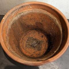陶器の植木鉢の画像