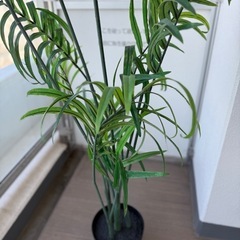 あげます　フェイク観葉植物の画像