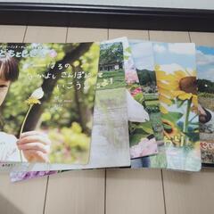 お話中　こどもとしぜん　11冊セット