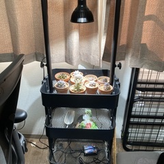 DIY植物育成ワゴン