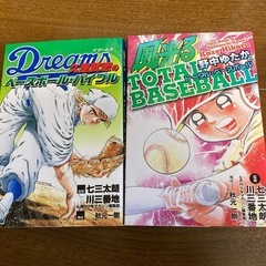 お値下げしました‼️ドリームスの画像