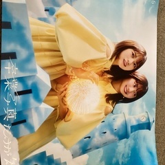 日向坂46 卒業写真だけが知ってる　ポスター　ワングー