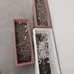 プランタ－7個と土無料で差し上げます