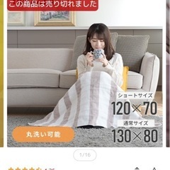 山善　電気毛布　通常サイズ　※引き渡し者決まりましたの画像
