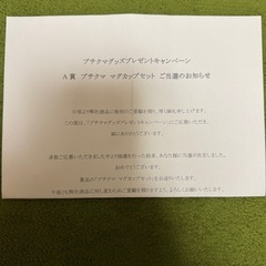 【未使用】プチくま マグカップペアセットの画像