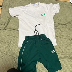 成美高校男子制服の画像