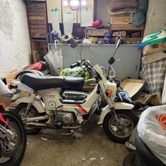 シャリー70 角目シャリー70 神奈川県から の画像