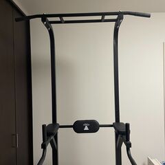 STEADY 懸垂マシン ST115